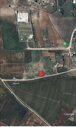 فروش زمین کشاورزی 500 متر در آزادشهر (تیلان) در گروه خرید و فروش املاک در گلستان در شیپور-عکس1