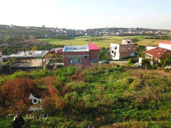 زمین 320 متری مسکونی در گروه خرید و فروش املاک در مازندران در شیپور-عکس1