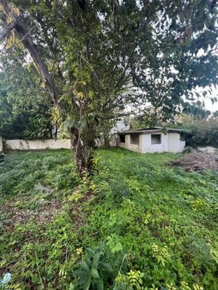 فروش زمین بافت مسکونی سنددار قابل تفکیک نوشهر در گروه خرید و فروش املاک در مازندران در شیپور-عکس1