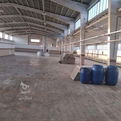 فروش کارخانه مواد غذایی 5100 متر در مراغه در گروه خرید و فروش املاک در آذربایجان شرقی در شیپور-عکس1