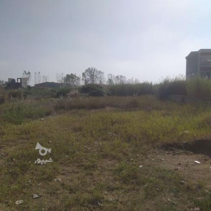 فروش زمین مسکونی 700 متر در سرخرود در گروه خرید و فروش املاک در مازندران در شیپور-عکس1