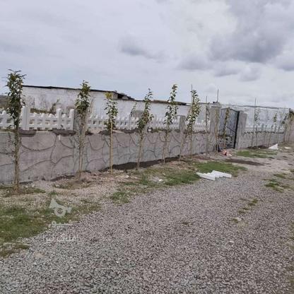 زمین 1000 متری دیوار شده در گروه خرید و فروش املاک در مازندران در شیپور-عکس1