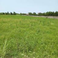 فروش زمین کشاورزی 4200 متر در رودباری کنار