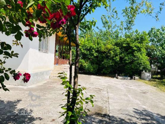 1640 متر خونه باغ روستای سند دار در گروه خرید و فروش املاک در گیلان در شیپور-عکس1