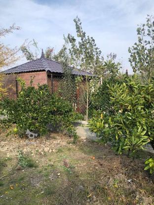 فروش باغچه خوش قواره در ساری در گروه خرید و فروش املاک در مازندران در شیپور-عکس1