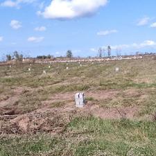 زمین مسکونی 257 متر در مرکز شهر - چاف