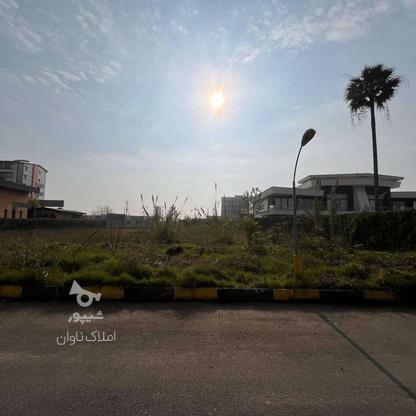 زمین مسکونی 1000 متری شهرک ساحلی مهندسین در گروه خرید و فروش املاک در مازندران در شیپور-عکس1