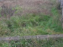 زمین مسکونی 375 متر در کریم آباد در شیپور