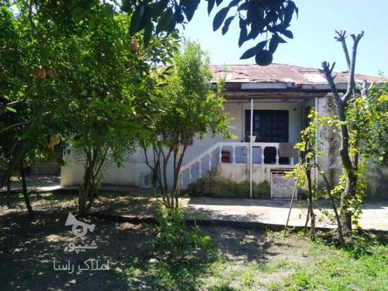 651متر زمین و خانه در رامسر در گروه خرید و فروش املاک در مازندران در شیپور-عکس1