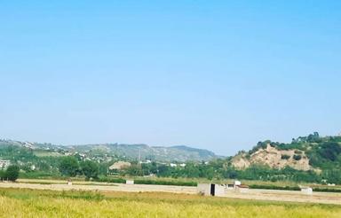 فروش زمین کشاورزی 2100 متر در پایین کولا