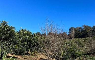 فروش باغ با مجوز چاه 2000متر