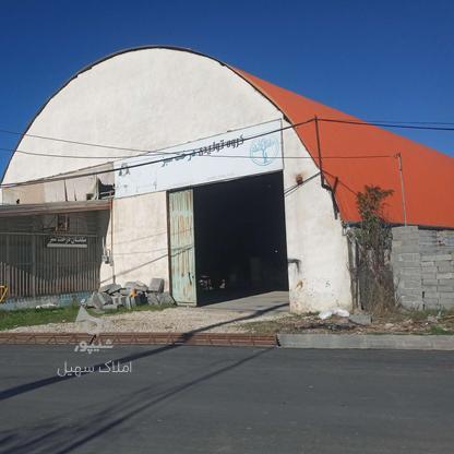اجاره صنعتی 860 متر در روستای لیمون در گروه خرید و فروش املاک در مازندران در شیپور-عکس1