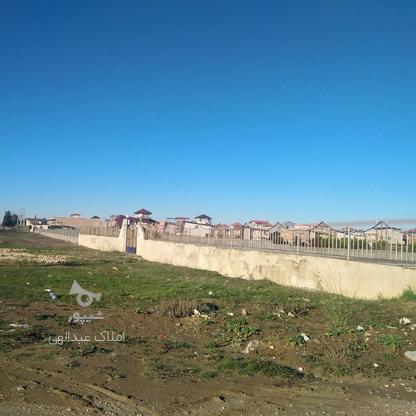 فروش زمین ساحلی 100 متر در میاندرود در گروه خرید و فروش املاک در مازندران در شیپور-عکس1