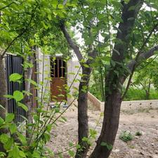 فروش زمین کشاورزی 330 متر در شهریار