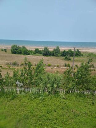 زمین ساحلی 700 متر در کلاچای در گروه خرید و فروش املاک در گیلان در شیپور-عکس1