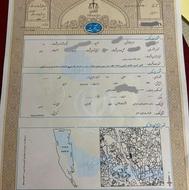 فروش زمین 210 متری در تنکابن