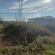 زمین مسکونی 2212 متر در هادی کیاشهر