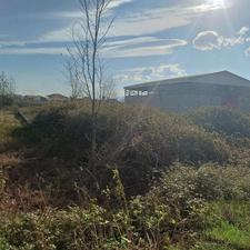 زمین مسکونی 2212 متر در هادی کیاشهر