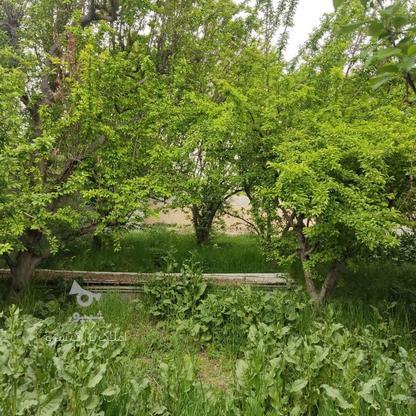 فروش باغچه 720 متر در کردزار شهریار در گروه خرید و فروش املاک در تهران در شیپور-عکس1