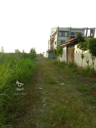 فروش زمین 270 متر دو نبش با موقعیت عالی در کرچک نوایی در گروه خرید و فروش املاک در مازندران در شیپور-عکس1