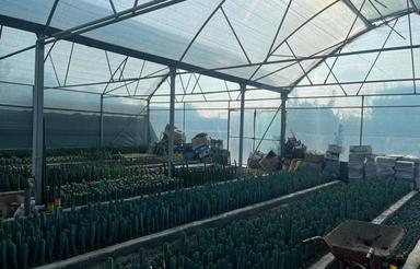 فروش دامداری و کشاورزی 550 متر در جاده کیاکلا