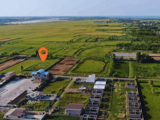 زمین مسکونی آماده ساخت برجاده آسفالت 200 متر در گروه خرید و فروش املاک در گیلان در شیپور-عکس1