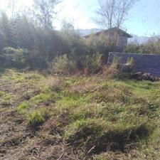 زمین مسکونی 431 متری درروستا سرسبز توتکله رودسر