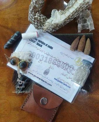 مهره مار اصل شاه کبری جیپور+ضمانت نامه در گروه خرید و فروش لوازم شخصی در آذربایجان غربی در شیپور-عکس1
