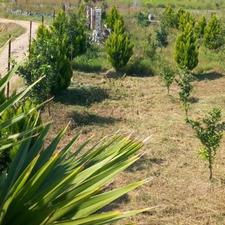 فروش اقساطی زمین 150متر با یک چهارم پیش پرداخت،سندیت