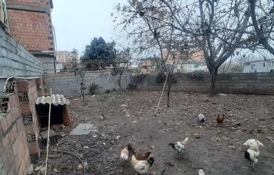 فروش زمین مسکونی 160 متر در خیابان کفشگرکلا