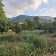 فروش زمین مسکونی 2000 متر در آسیاب سر