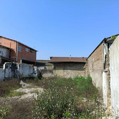 فروش زمین مسکونی 246 متر سنددار در کوچکسرا در گروه خرید و فروش املاک در مازندران در شیپور-عکس1