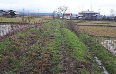 زمین کشاورزی 2,300 متری درروستا شیخ آباد املش