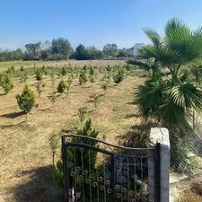 فروش اقساطی ویژه به مدت محدود زمین شهرکی در معلم کلا