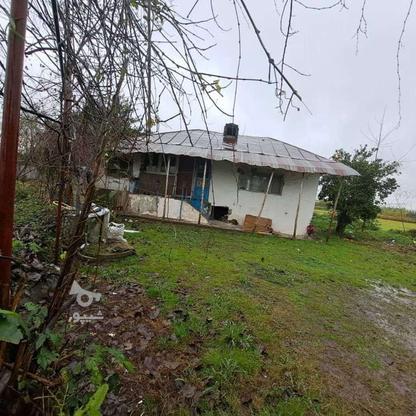 640 متر زمین با یک خانه کلنگی در خشکبیجار در گروه خرید و فروش املاک در گیلان در شیپور-عکس1