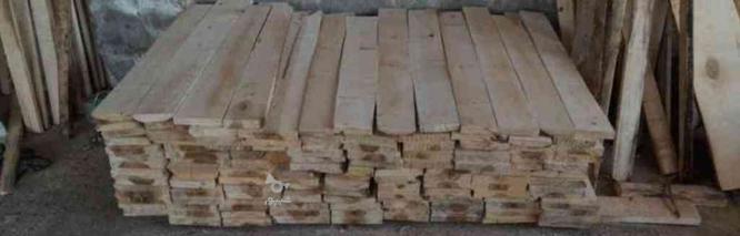 فروش چوب راش توسکا