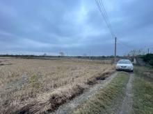 زمین شالیزاری 750متر چاه آب و برق در قراخیل در شیپور