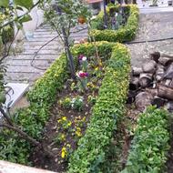 خدمات باغبانی و فضای سبز باغداری