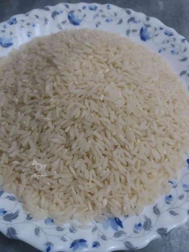 برنج کشت دو