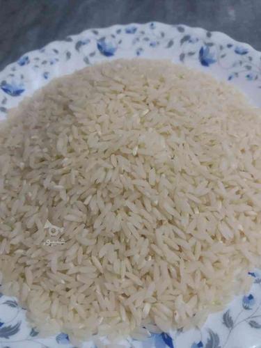 برنج کشت دو