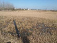 زمین کشاورزی 10000 متر در رضامحله در شیپور