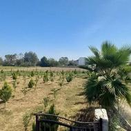 شرایطی زمین 102متری سرخرود نزدیک دریا مدارک کامل