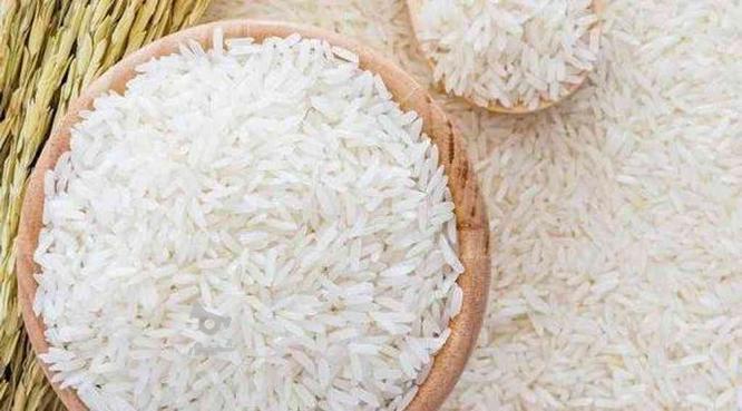 برنج طارم هاشمی وبینام رشت