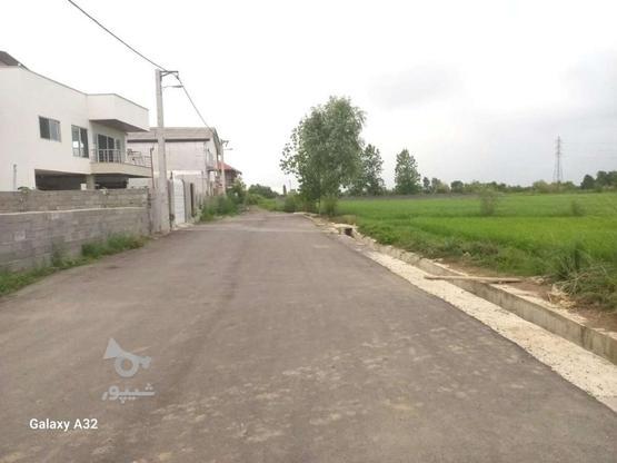 فروش زمین با قیمتی استثنایی 6600متر 2 کله داخل شهر رویان در گروه خرید و فروش املاک در مازندران در شیپور-عکس1
