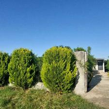 فروش باغ سوئیت 500 متر جاده دریا