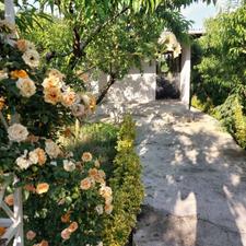 فروش باغ سوئیت 500 متر جاده دریا