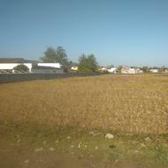 فروش زمین مسکونی 6300 متر در سلیا کتی