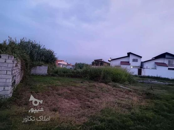 فروش زمین مسکونی 127 متر در بلوار بسیج در گروه خرید و فروش املاک در مازندران در شیپور-عکس1