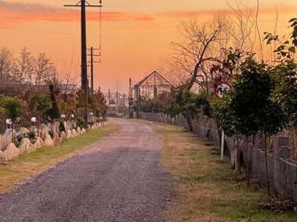 فروش زمین مسکونی 450 متری سندداردر منطقه آزاد