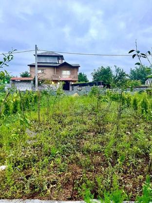 فروش زمین مسکونی 200 مترازدم قسط باسند در آپادانا در گروه خرید و فروش املاک در مازندران در شیپور-عکس1